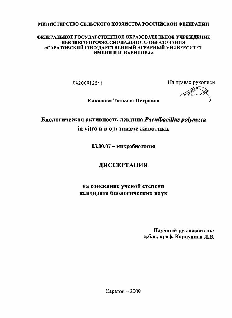 Биологическая активность лектина Paenibacillus Polymyxa in vitro и в организме животных