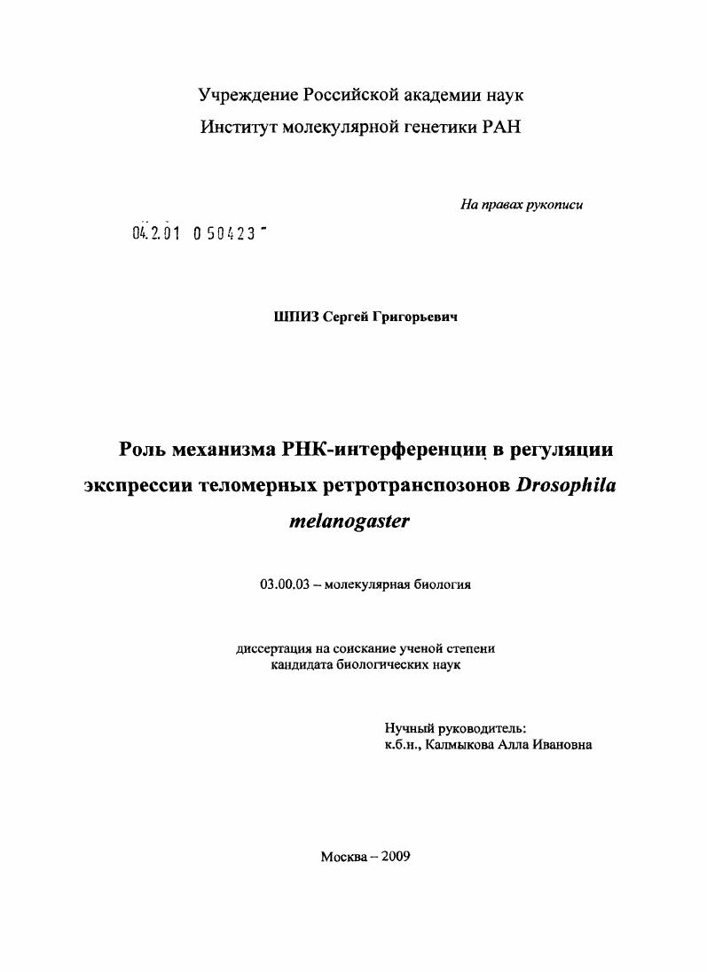 Роль механизма РНК-интерференции в регуляции экспресии теломерных ретротранспозонов Drosophila melanogaster