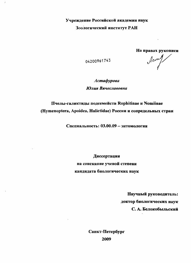 Пчелы-галиктиды подсемейств Rophitinae и Nomiinae (Hymenoptera, Apoidea, Halictidae) России и сопредельных стран