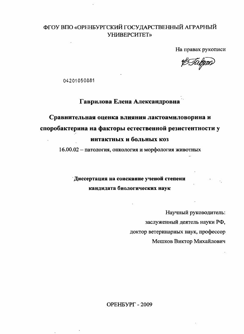 Сравнительная оценка влияния лактоамиловорина и споробактерина на факторы естественной резистентности у интактных и больных коз