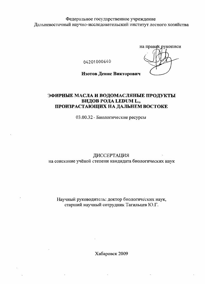 Эфирные масла и водомасляные продукты видов рода Ledum L., произрастающих на Дальнем Востоке