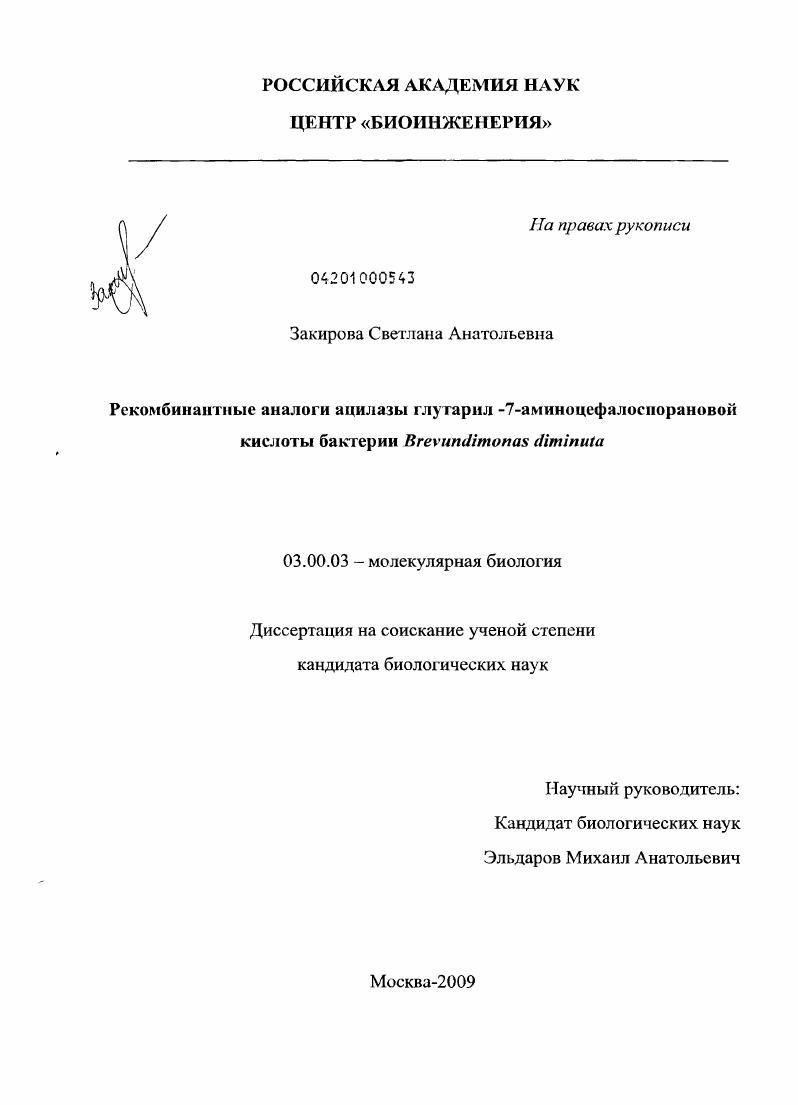 Рекомбинантные аналоги ацилазы глутарил-7-аминоцефалоспорановой кислоты бактерии Brevundimonas diminuta