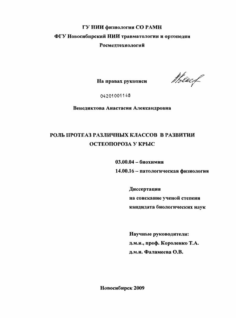 Роль протеаз различных классов в развитии остеопороза у крыс