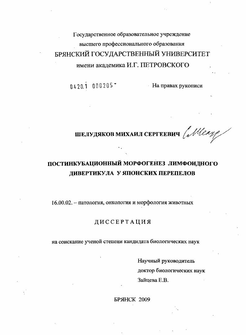 Постинкубационный морфогенез лимфоидного дивертикула у японских перепелов