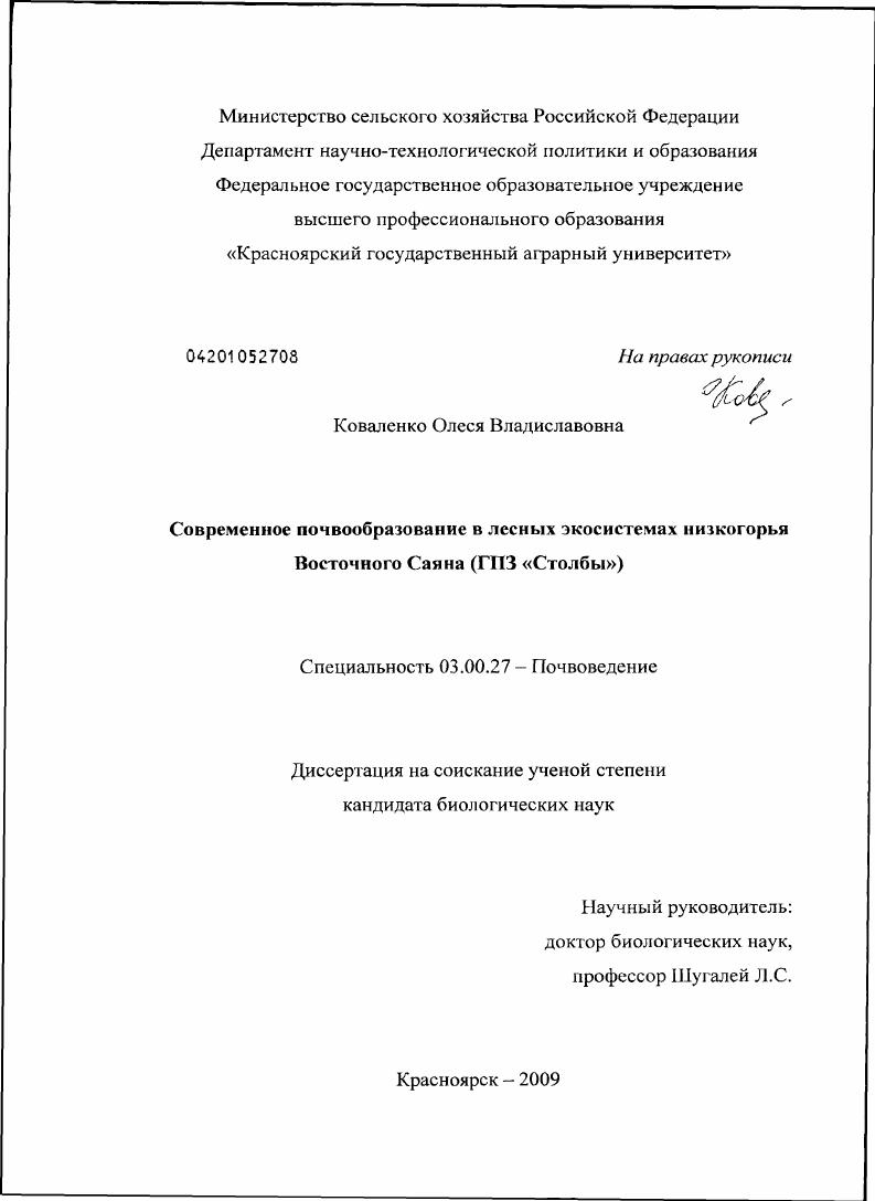 Современное почвообразование в лесных экосистемах низкогорья Восточного Саяна : ГПЗ "Столбы"