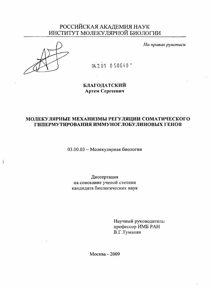 Молекулярные механизмы регуляции соматического гипермутирования иммуноглобулиновых генов