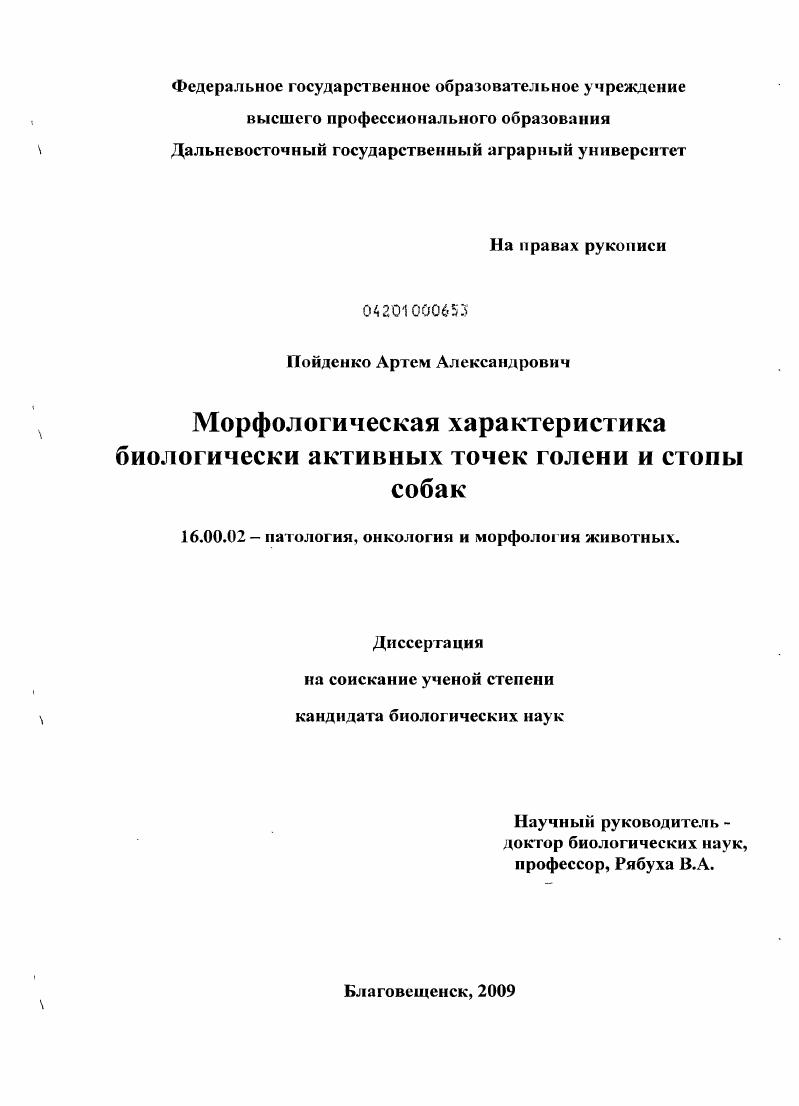 Морфологическая характеристика биологически активных точек голени и стопы собак