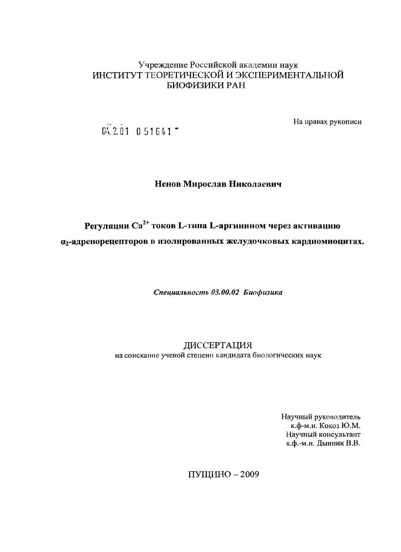 Регуляция Ca2+ токов L-типа L-аргинином через активацию α2-адренорецепторов в изолированных желудочковых кардиомиоцитах