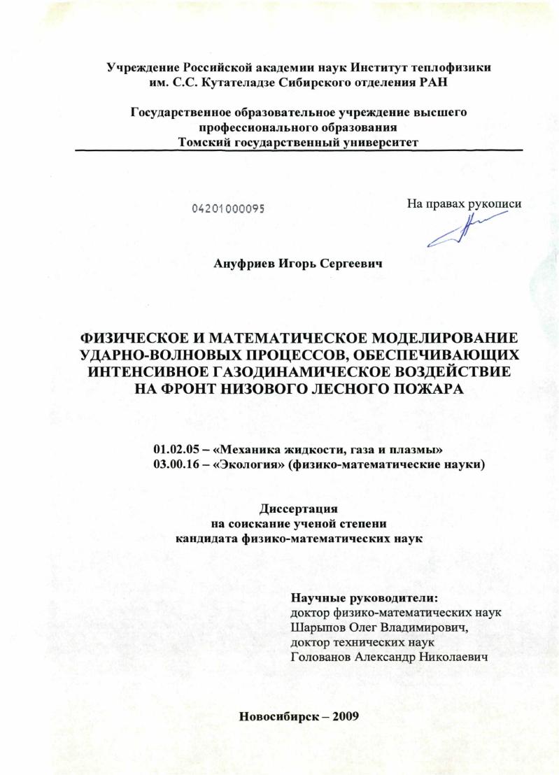 скачать диссертацию Физическое и математическое моделирование ударно-волновых процессов, обеспечивающих интенсивное газодинамическое воздействие на фронт низового лесного пожара Физическое и математическое моделирование ударно-волновых процессов, обеспечивающих интенсивное газодинамическое воздействие на фронт низового лесного пожара