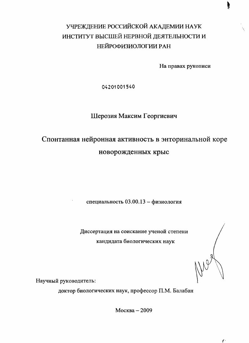 Спонтанная нейронная активность в энторинальной коре новорожденных крыс