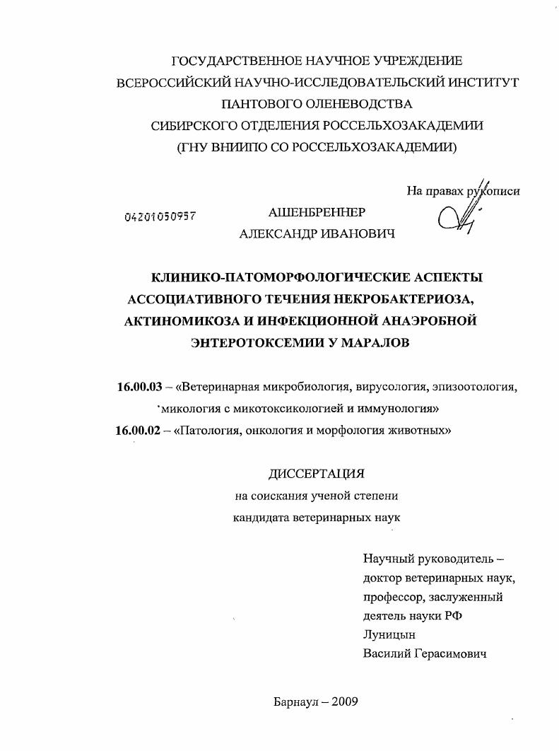 Клинико-патоморфологические аспекты ассоциативного течения некробактериоза, актиномикоза и инфекционной анаэробной энтеротоксемии у маралов