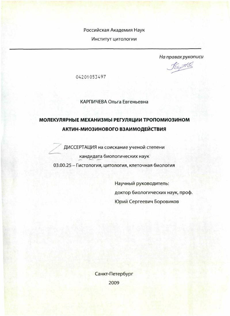 Молекулярные механизмы регуляции тропомиозином актин-миозинового взаимодействия