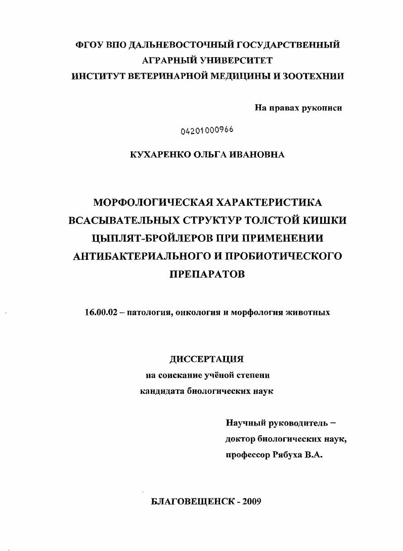 Морфологическая характеристика всасывательных структур толстой кишки цыплят-бройлеров при применении антибактериального и пробиотического препаратов