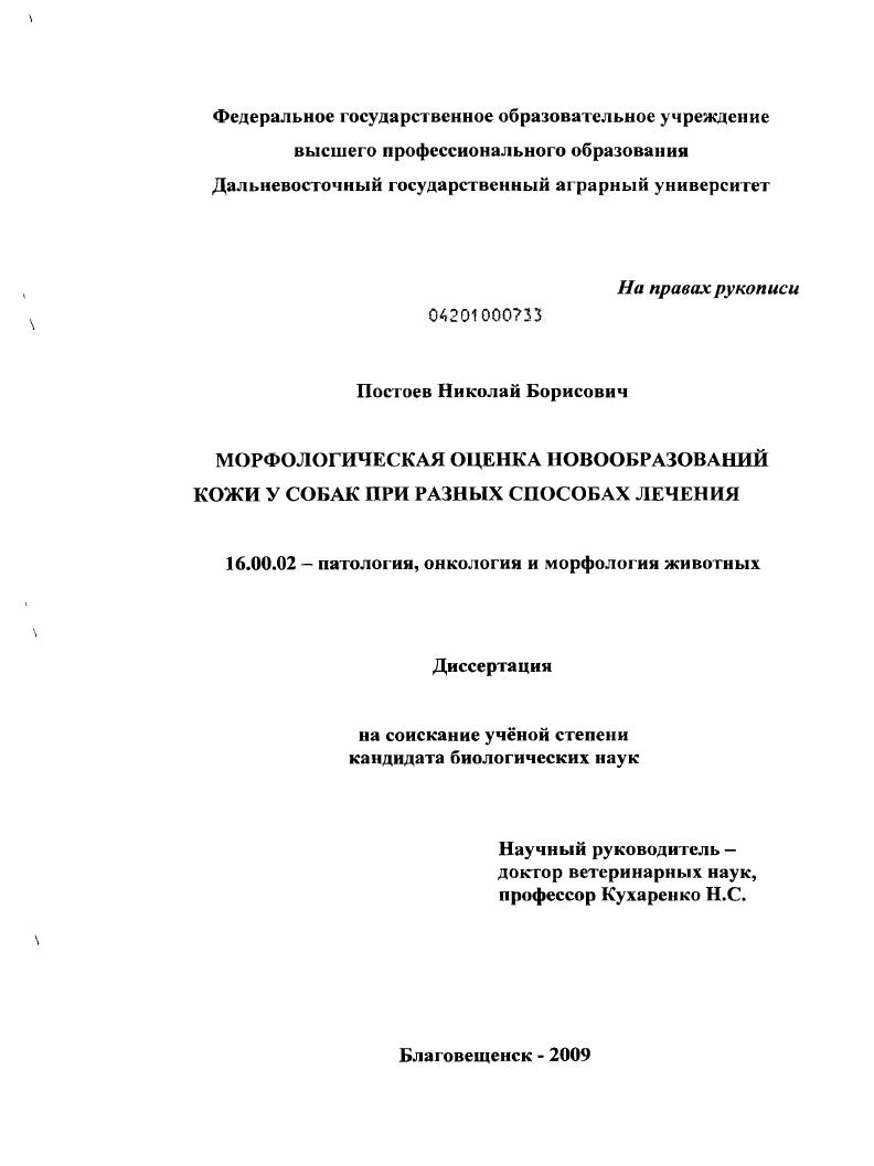 скачать диссертацию Морфологическая оценка новообразований кожи у собак при разных способах лечения Морфологическая оценка новообразований кожи у собак при разных способах лечения