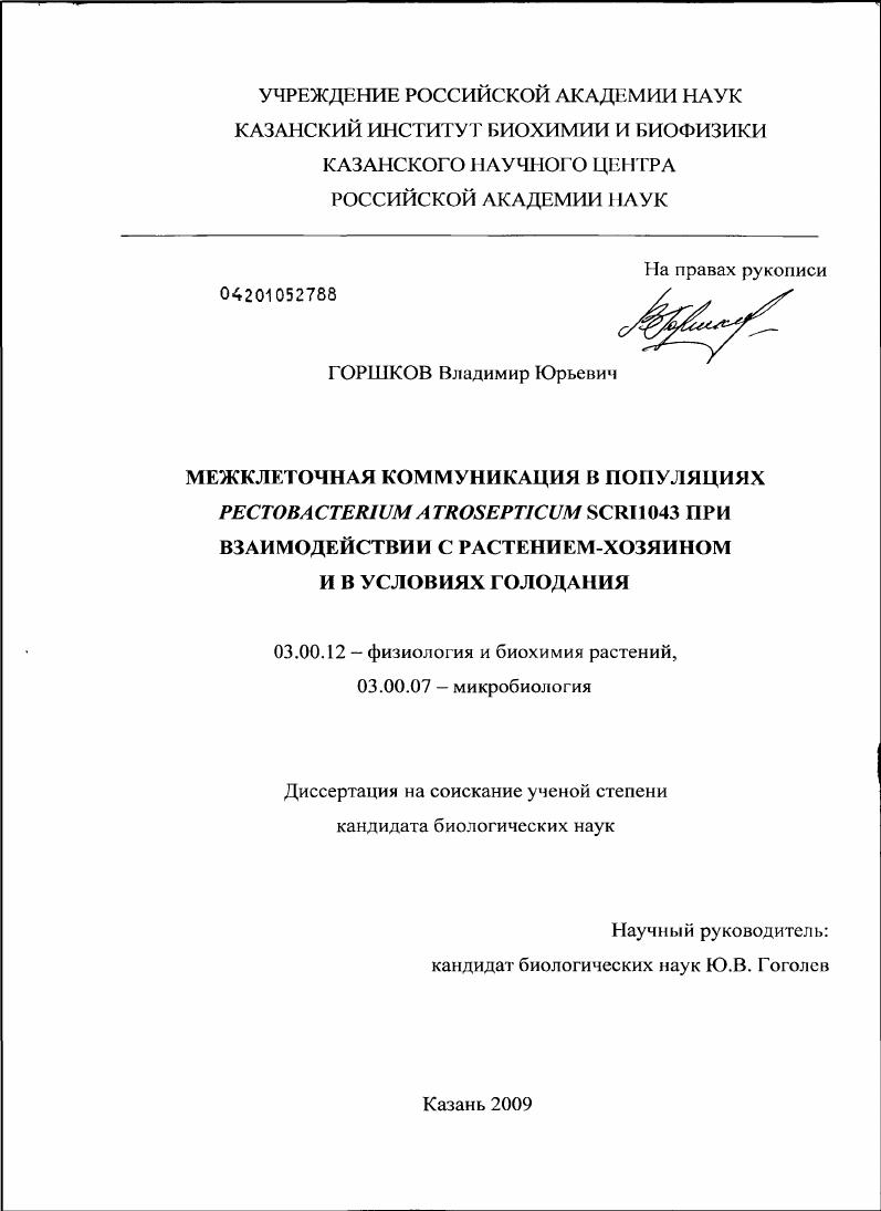 скачать диссертацию Межклеточная коммуникация в популяциях Pectobacterium atrosepticum SCRI1043 при взаимодействии с растением-хозяином и в условиях голодания Межклеточная коммуникация в популяциях Pectobacterium atrosepticum SCRI1043 при взаимодействии с растением-хозяином и в условиях голодания