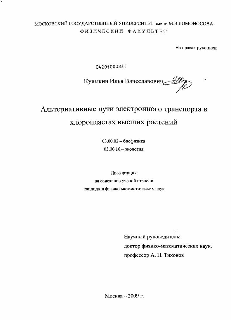Альтернативные пути электронного транспорта в хлоропластах высших растений