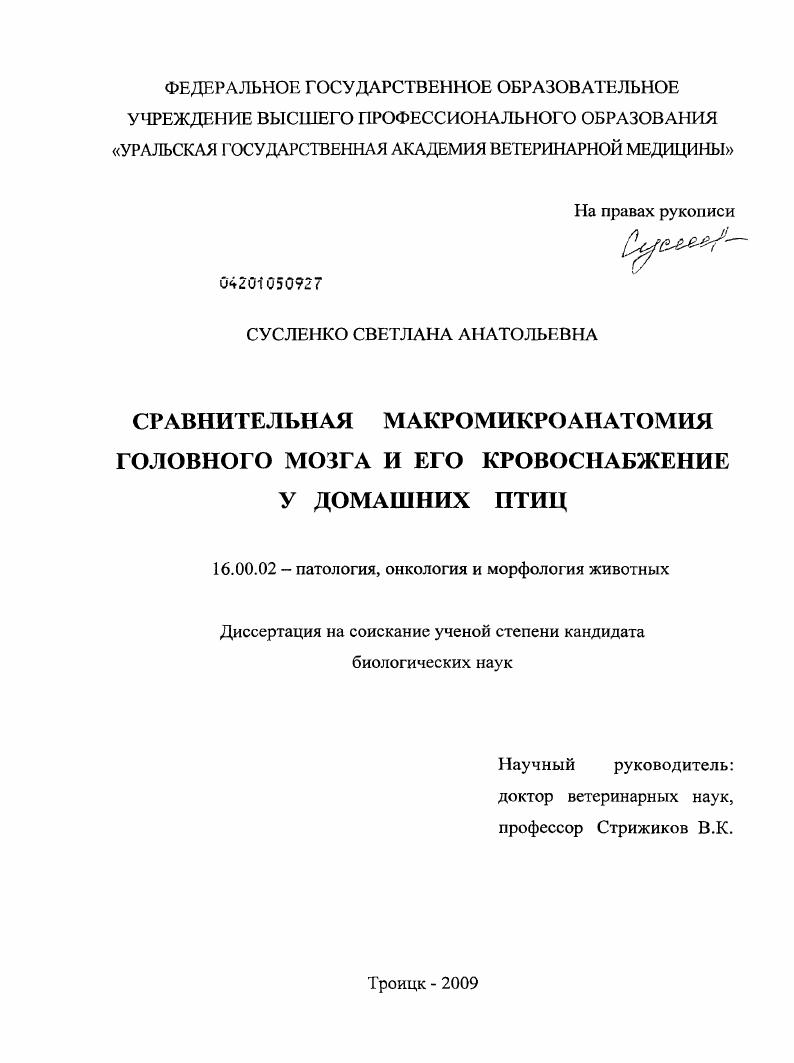 Сравнительная макромикроанатомия головного мозга и его кровоснабжение у домашних птиц