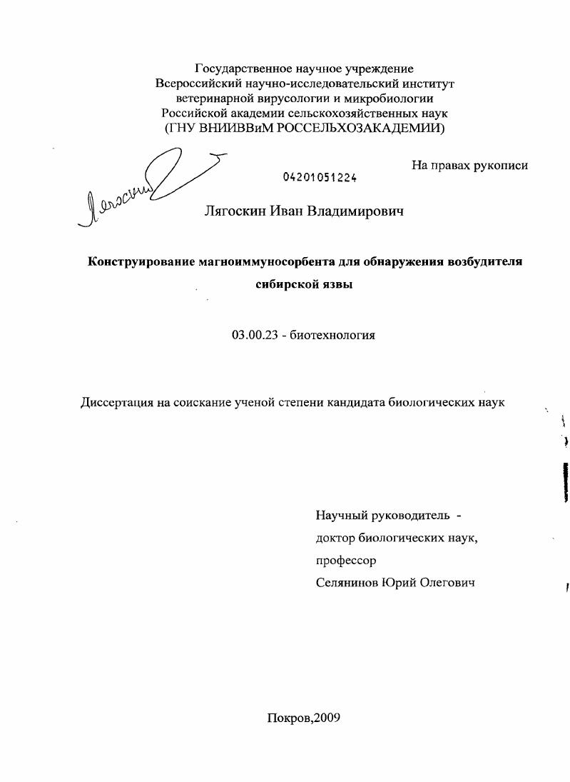 Конструирование магноиммуносорбента для обнаружения возбудителя сибирской язвы