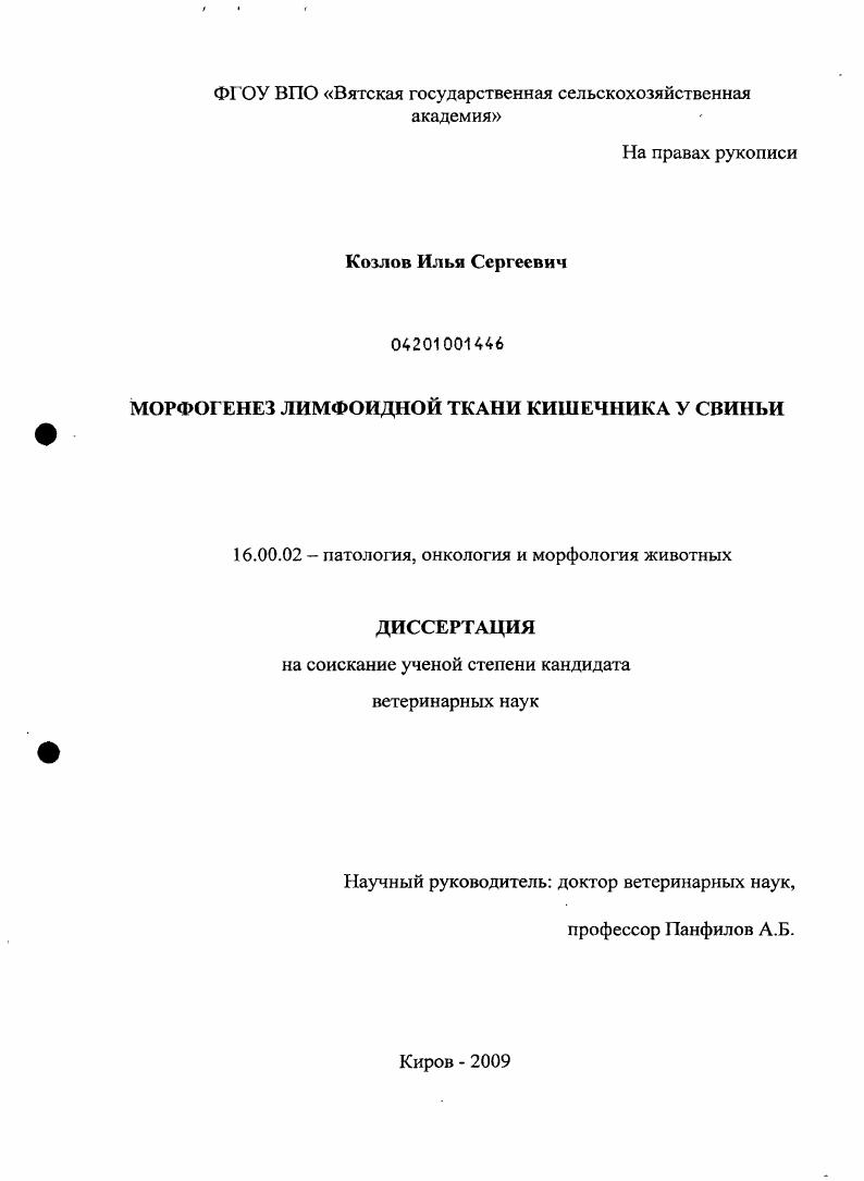 Морфогенез лимфоидной ткани кишечника у свиньи