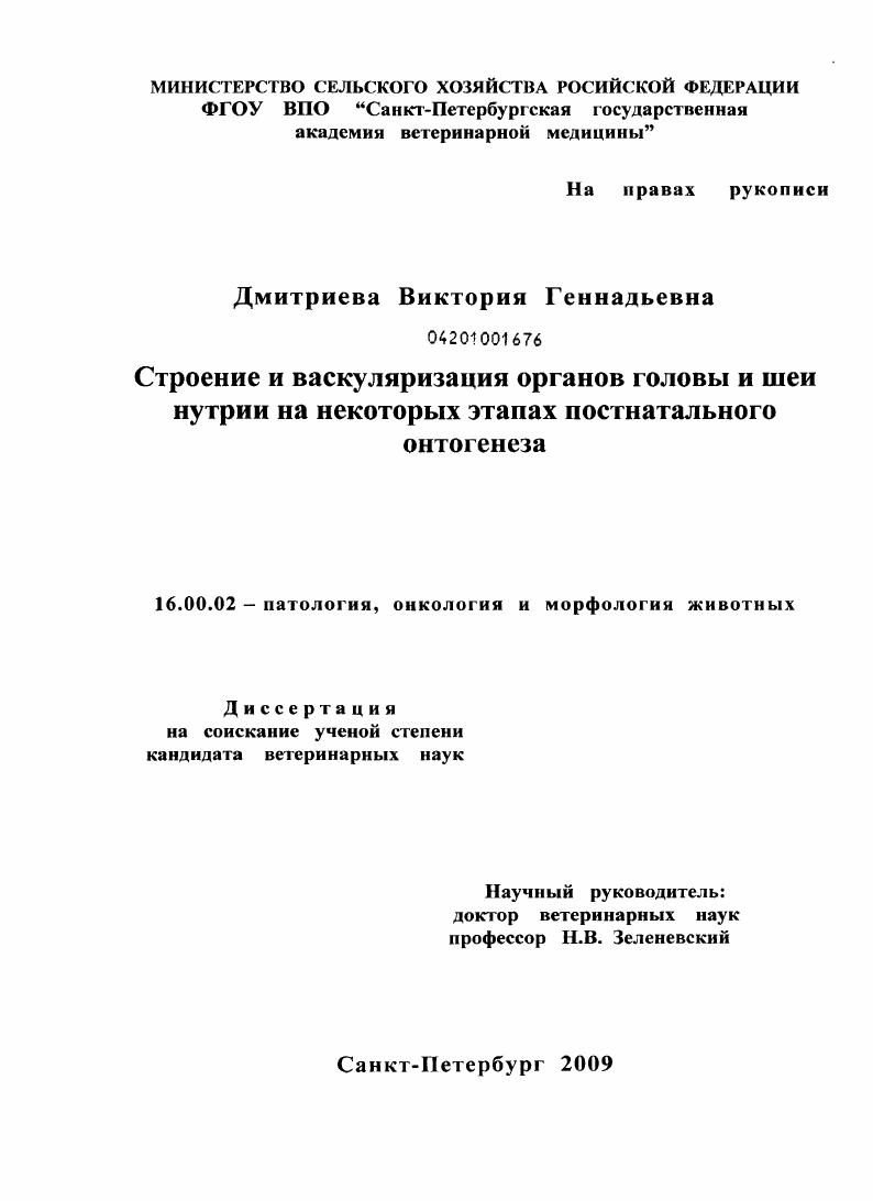 Строение и васкуляризация органов головы и шеи нутрии на некоторых этапах постнатального онтогенеза