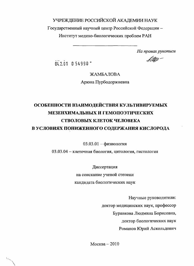 Особенности взаимодействия культивируемых мезенхимальных и гемопоэтических стволовых клеток человека в условиях пониженного содержания кислорода