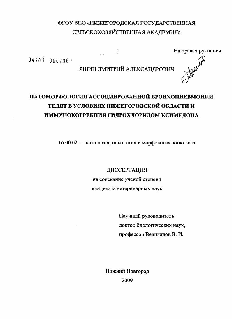 Патоморфология ассоциированной бронхопневмонии телят в условиях Нижегородской области и иммунокоррекция гидрохлоридом ксимедона