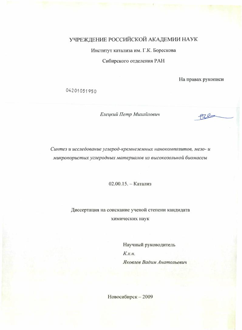 Синтез и исследование углерод-кремнеземных нанокомпозитов, мезо- и микропористых углеродных материалов из высокозольной биомассы