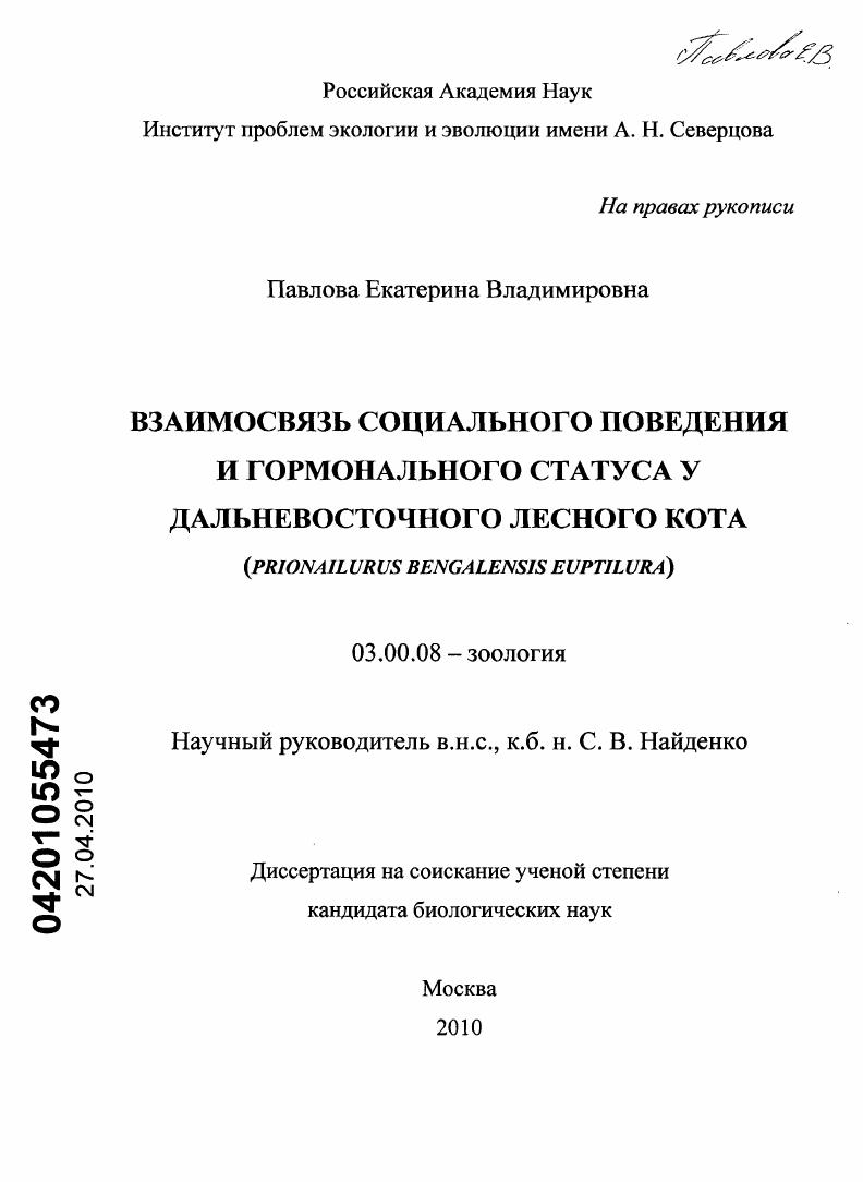 Взаимосвязь социального поведения и гормонального статуса у дальневосточного лесного кота : Prionailurus bengalensis euptilura