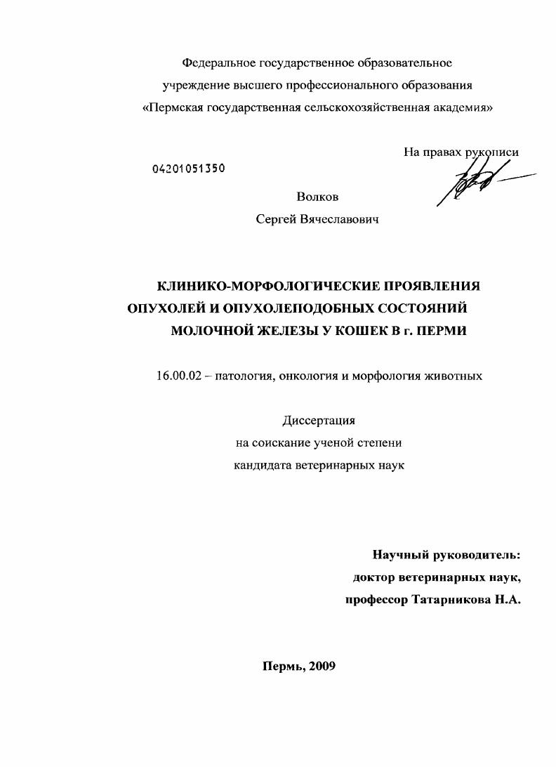 Клинико-морфологические проявления опухолей и опухолеподобных состояний МО в молочной железе у кошек в г. Перми