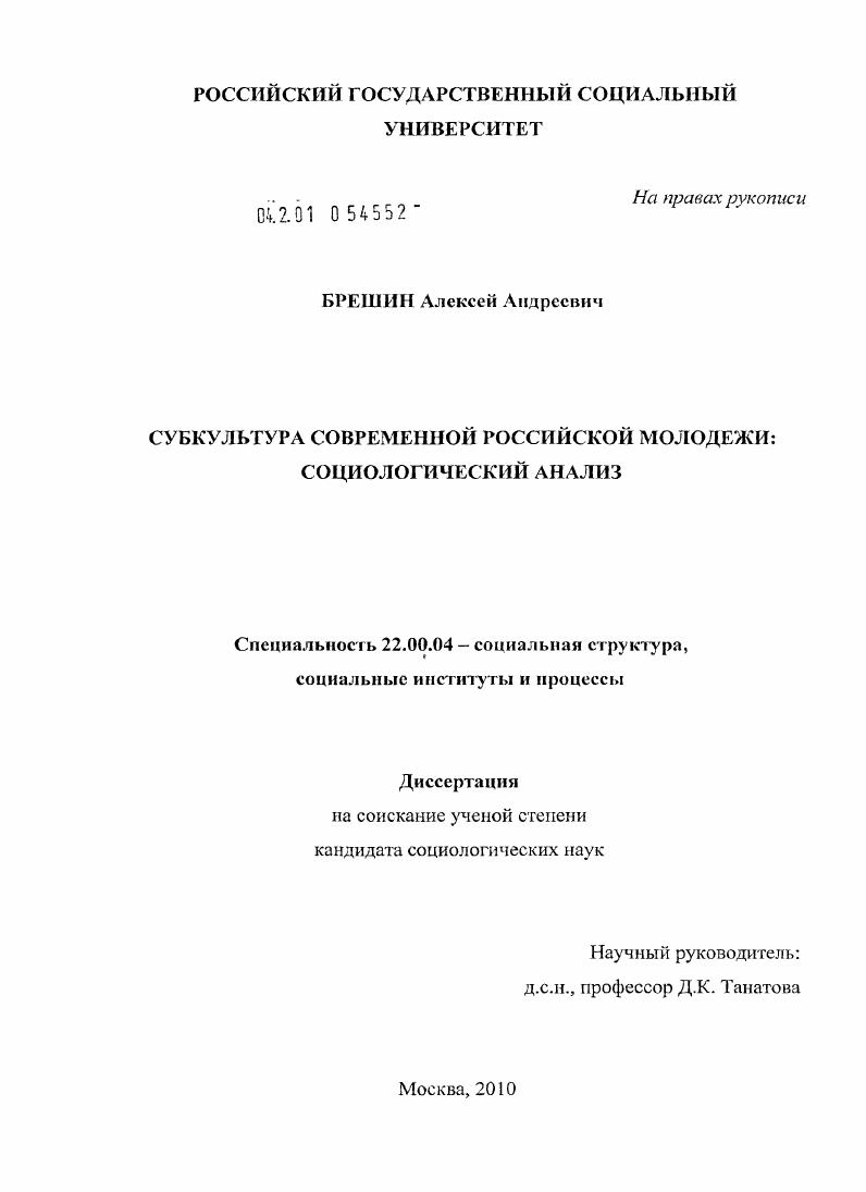 Субкультура современной российской молодежи : социологический анализ