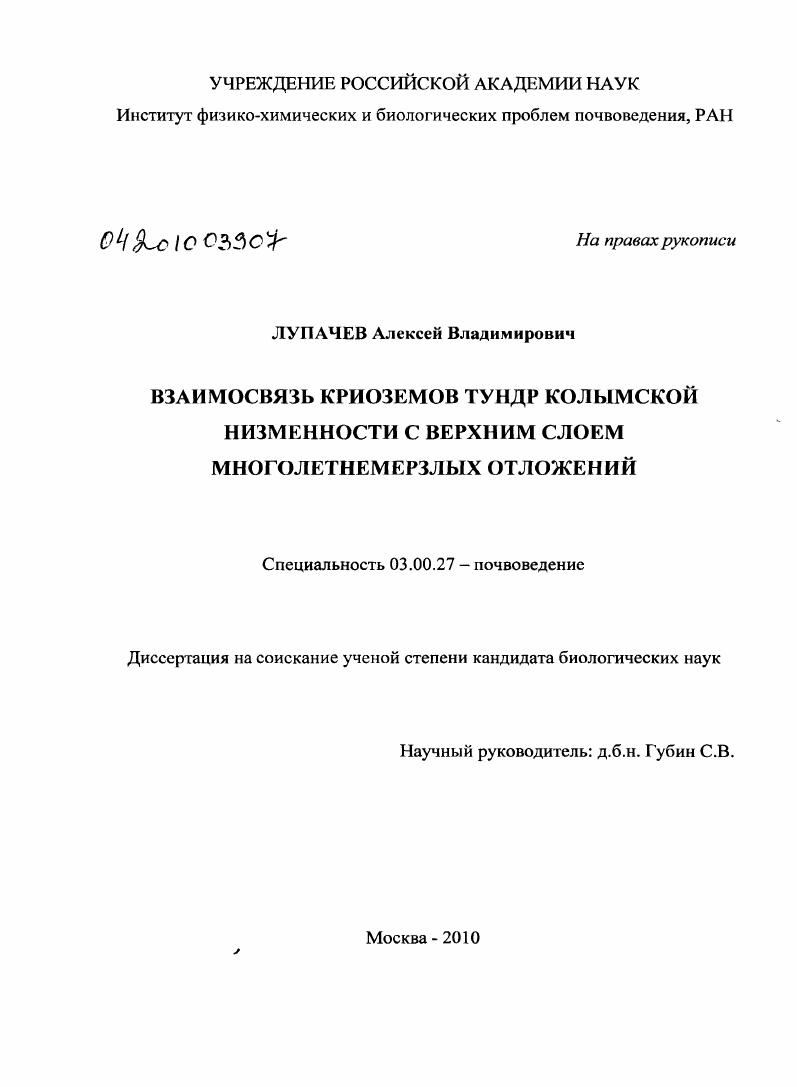 Взаимосвязь криоземов тундр Колымской низменности с верхним слоем многолетнемерзлых отложений