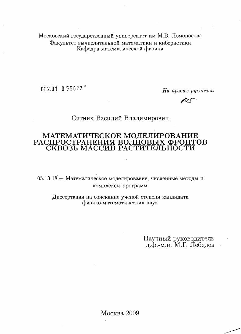 Математическое моделирование распространения волновых фронтов сквозь массив растительности