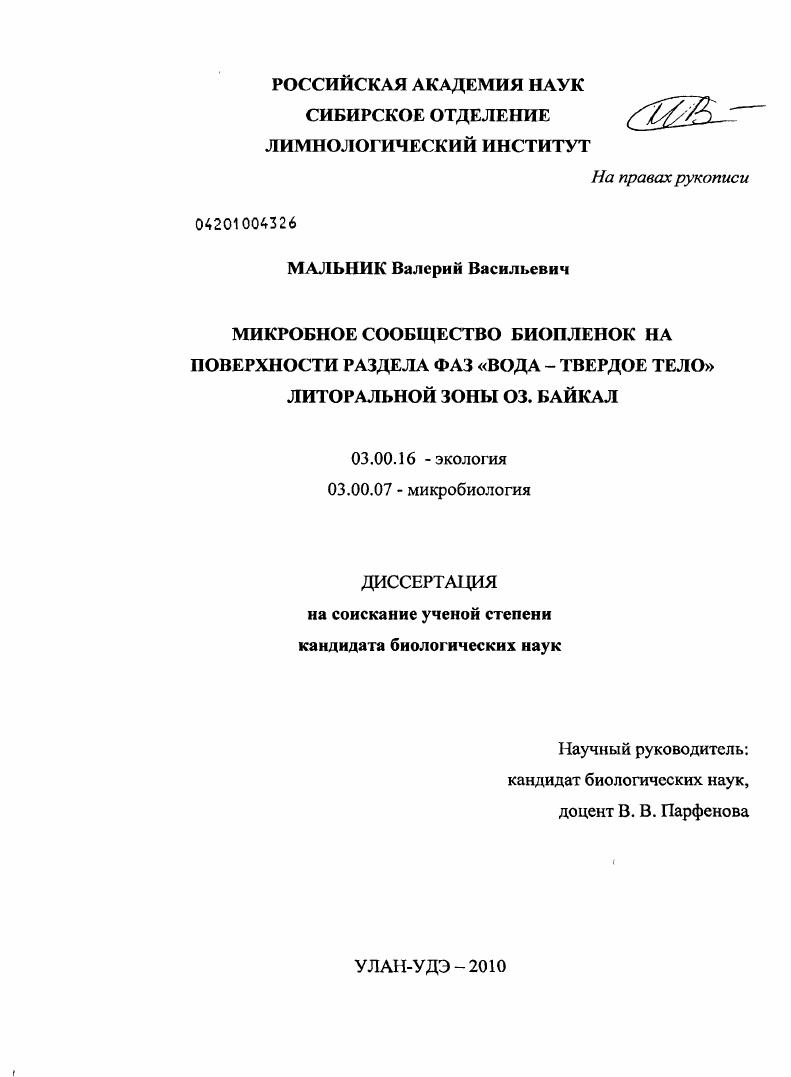 Микробное сообщество биопленок на поверхности раздела фаз "вода-твердое тело" литоральной зоны оз. Байкал