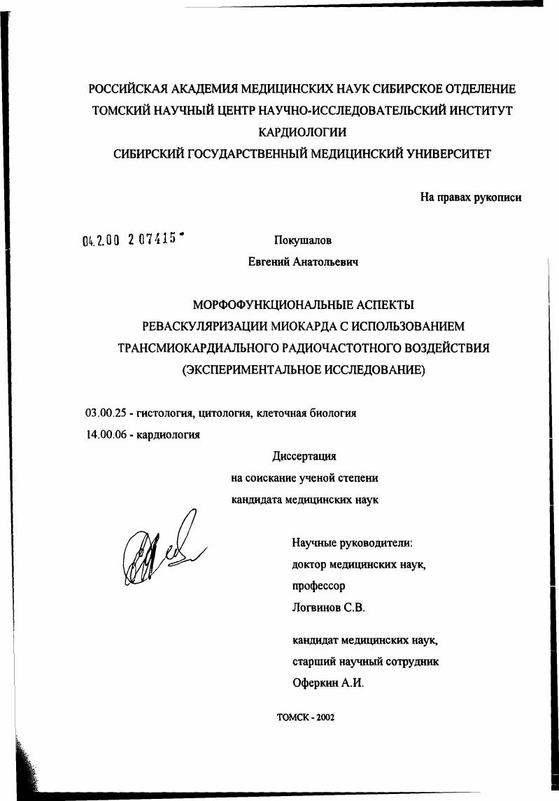 Морфофункциональные аспекты реваскуляризации миокарда с использованием трансмиокардиального радиочастотного воздействия (экспериментальное исследование)