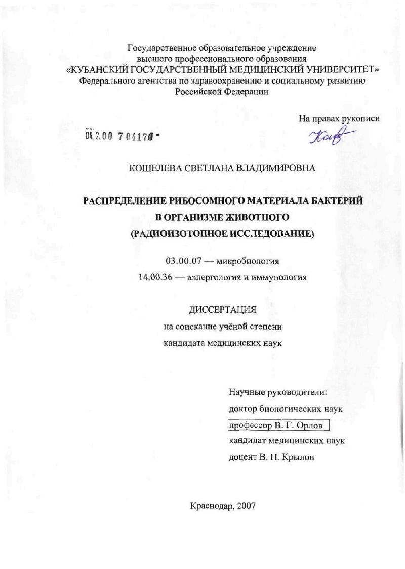 Распределение рибосомного материала бактерий в организме животного (радиоизотопное исследование)