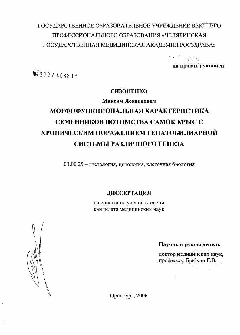 Морфофункциональная характеристика семенников потомства самок крыс с хроническим поражением гепатобилиарной системы различного генеза