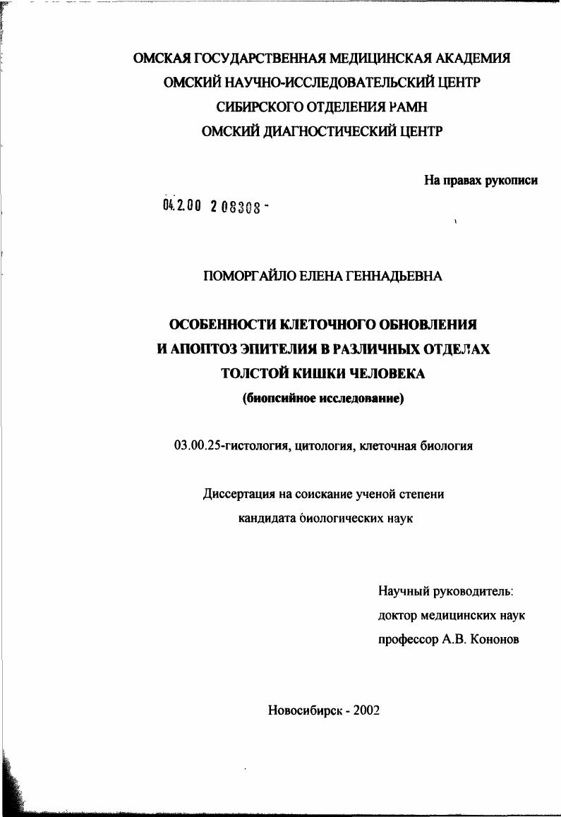 Особенности клеточного обновления и апоптоз эпителия в различных отделах толстой кишки человека (биопсийное исследование)
