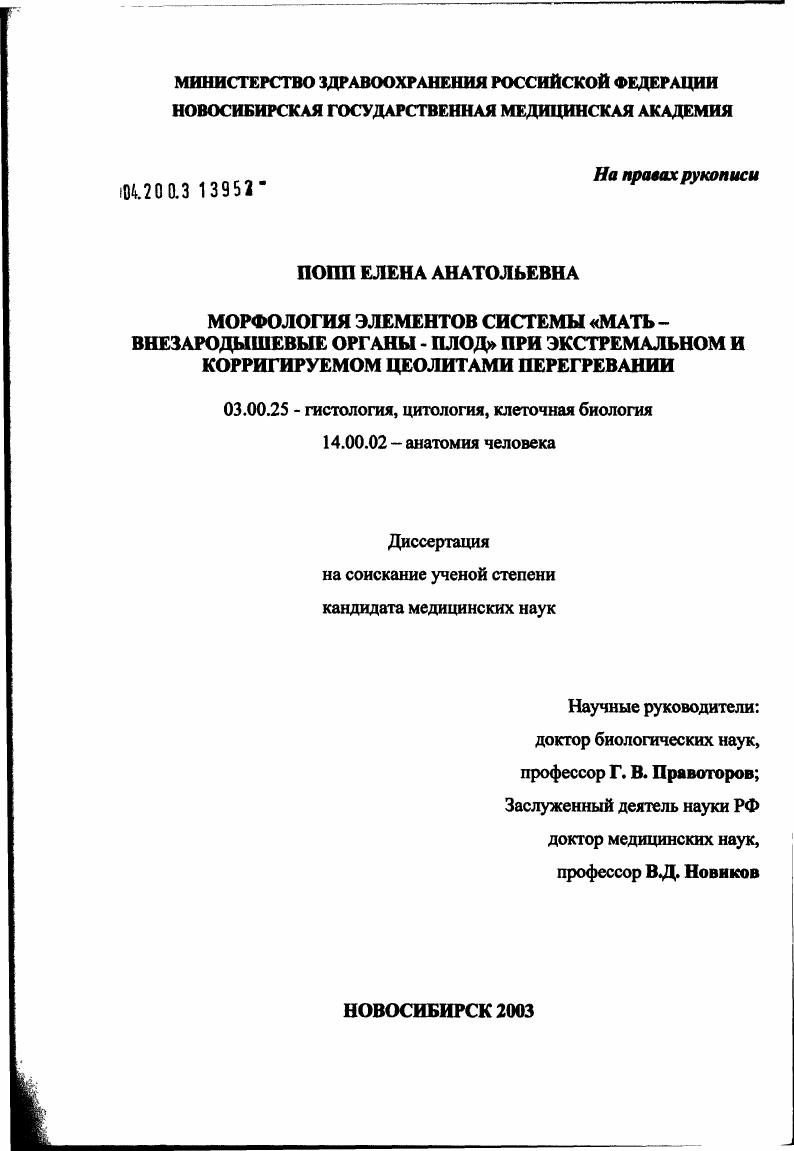 Морфология элементов системы мать - внезародышевые органы - плод при экстремальном и корригируемом цеолитами перегревании