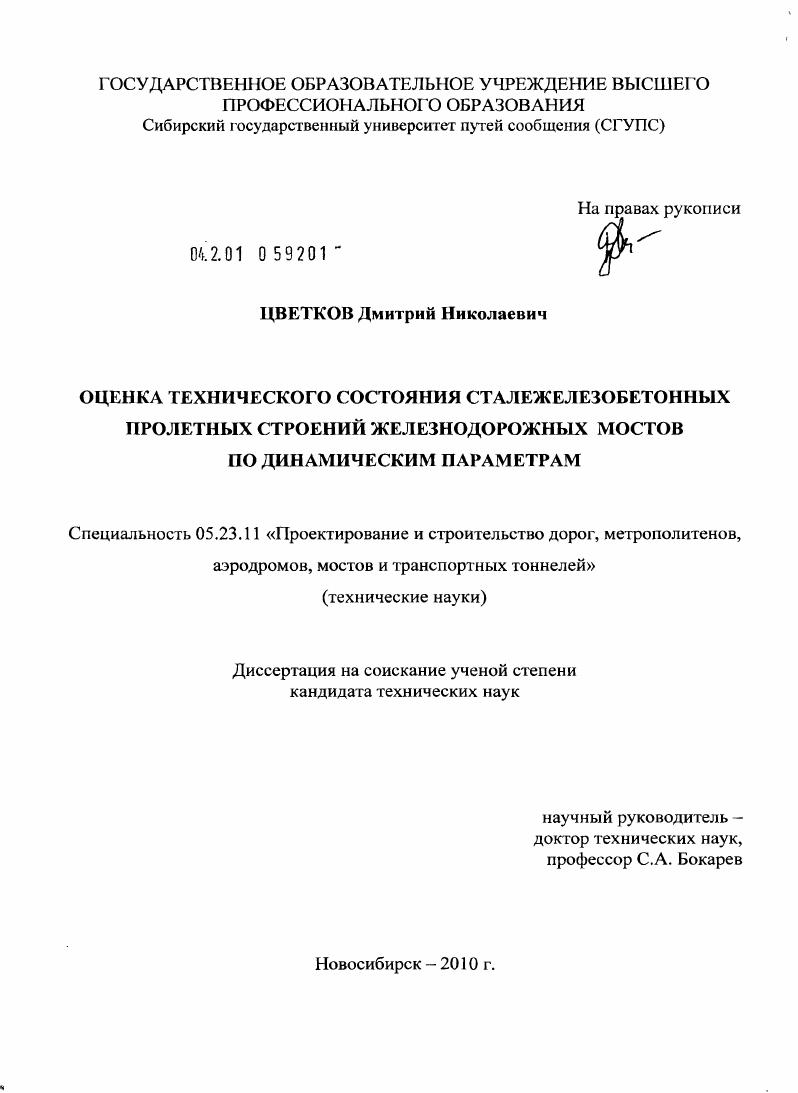 Оценка технического состояния сталежелезобетонных пролетных строений железнодорожных мостов по динамическим параметрам