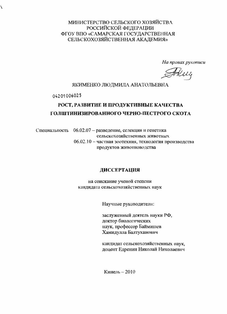 Рост, развитие и продуктивные качества голштинизированного черно-пестрого скота