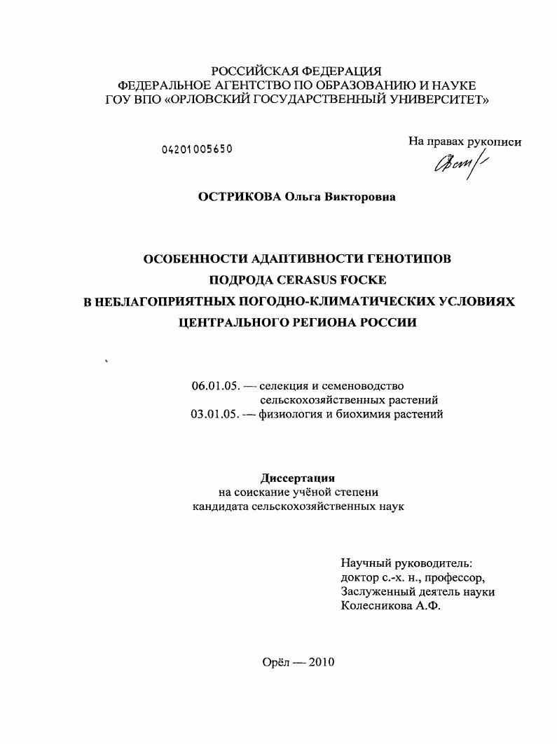 скачать диссертацию Особенности адаптивности генотипов подрода Cerasus Focke в неблагоприятных погодно-климатических условиях Центрального региона России Особенности адаптивности генотипов подрода Cerasus Focke в неблагоприятных погодно-климатических условиях Центрального региона России