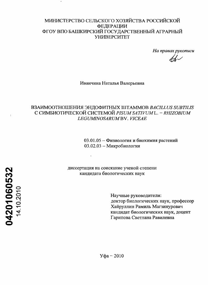 Взаимоотношения эндофитных штаммов Bacillus subtilis с симбиотической системой Pisum sativum L. - Rhizobium leguminosarum bv. viceae