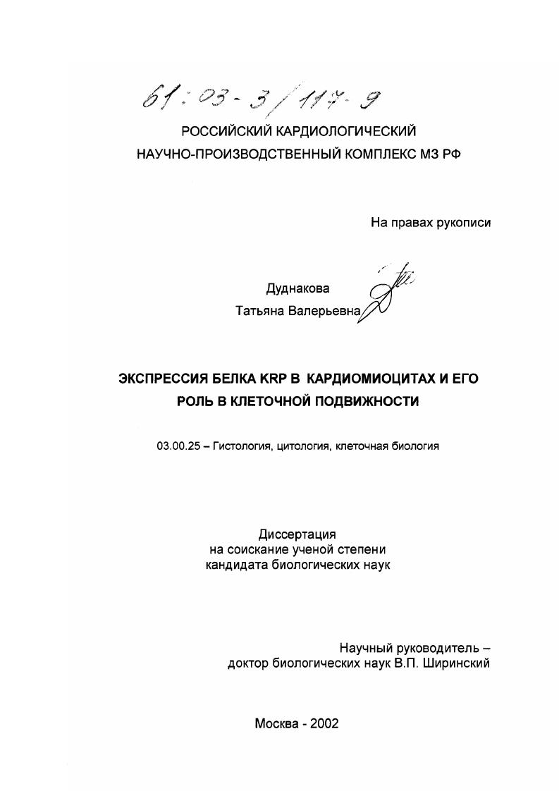 Экспрессия белка KRP в кардиомиоцитах и его роль в клеточной подвижности