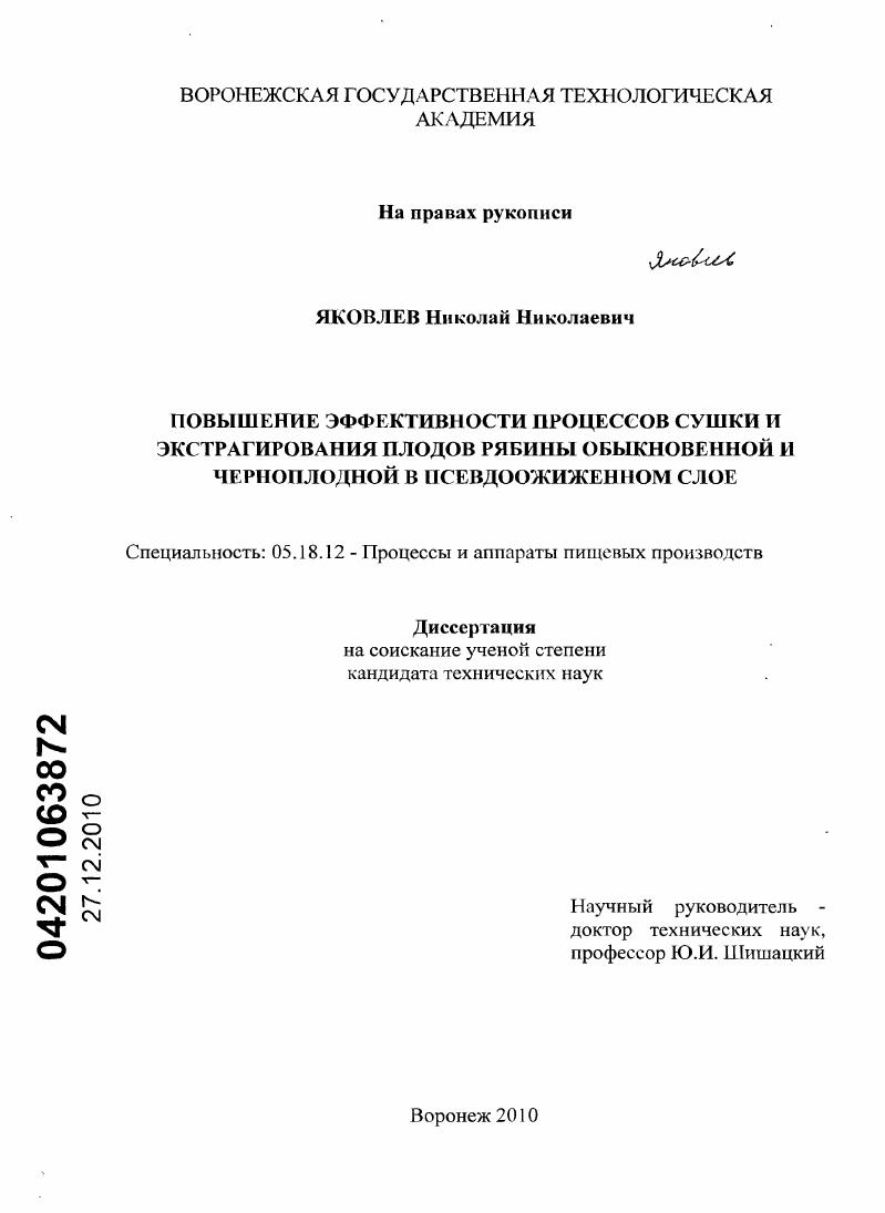 Повышение эффективности процессов сушки и экстрагирования плодов рябины обыкновенной и черноплодной в псевдоожиженном слое