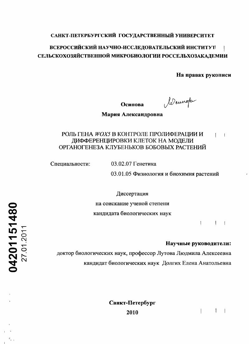Роль гена WOX5 в контроле пролиферации и дифференцировки клеток на модели органогенеза клубеньков бобовых растений