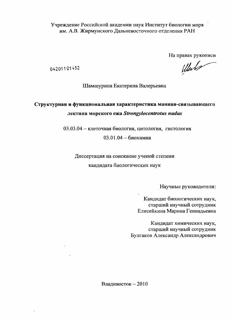 Структурная и функциональная характеристика маннан-связывающего лектина морского ежа Strongylocentrotus nudus