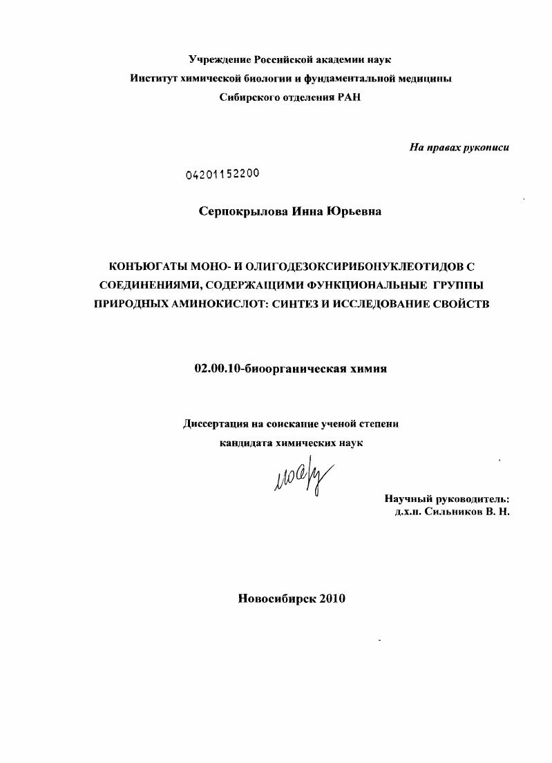Конъюгаты моно- и олигодезоксирибонуклеотидов с соединениями, содержащими функциональные группы природных аминокислот: синтез и исследование свойств
