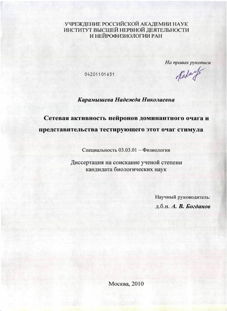 Сетевая активность нейронов доминантного очага и представительства тестирующего этот очаг стимула