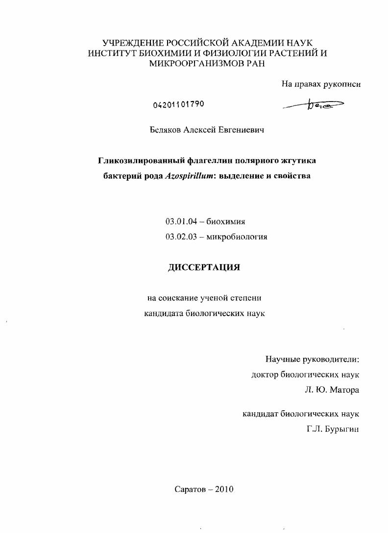 Гликозилированный флагеллин полярного жгутика бактерий рода Azospirillum : выделение и свойства