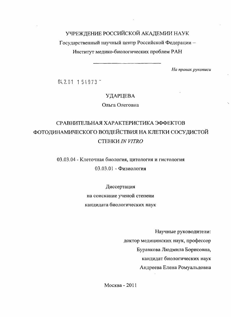 Сравнительная характеристика эффектов фотодинамического воздействия на клетки сосудистой стенки in vitro